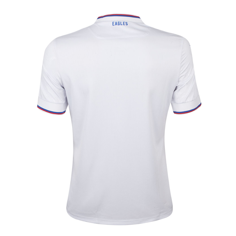 Crystal Palace 22/23 Away Shirt Custom Unisex Jersey All Genders - Jersey Teams World