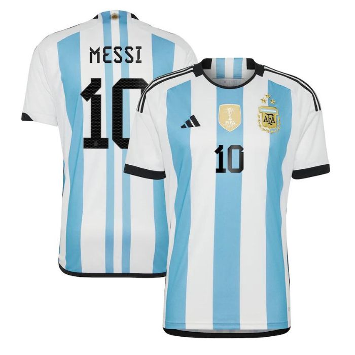 Lionel Messi 10 Argentina National Team 2022/23 Winner Player Jersey - White - Jersey Teams World
