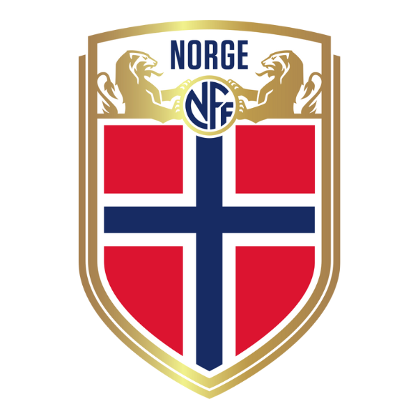 Norway national team jersey emblem featuring red, white, and blue cross design with gold border and lions