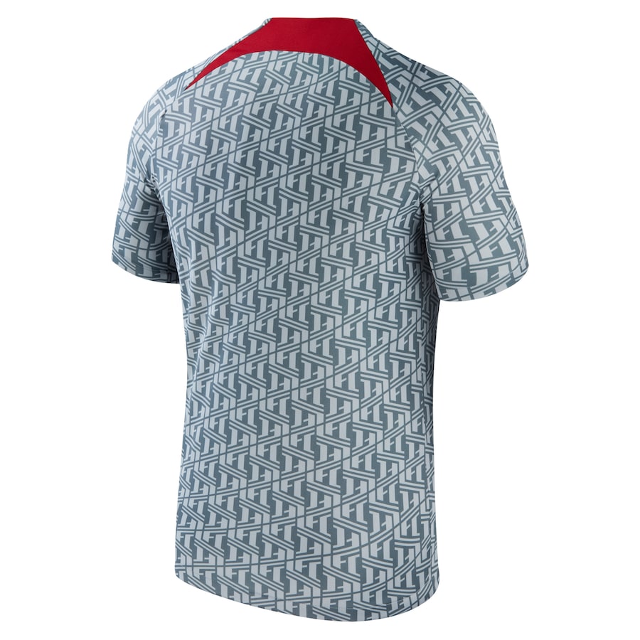 Liverpool Nike 2023/24 Pre-Match Performance Top - Gray - Jersey Teams World