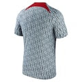 Liverpool Nike 2023/24 Pre-Match Performance Top - Gray - Jersey Teams World
