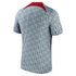 Liverpool Nike 2023/24 Pre-Match Performance Top - Gray - Jersey Teams World