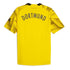 Borussia Dortmund 2023/24 Third Custom Jersey - Yellow
