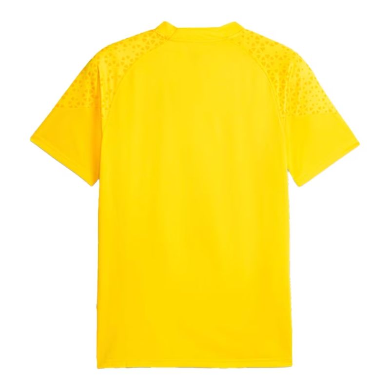 Borussia Dortmund 2023/24 Training Jersey - Yellow