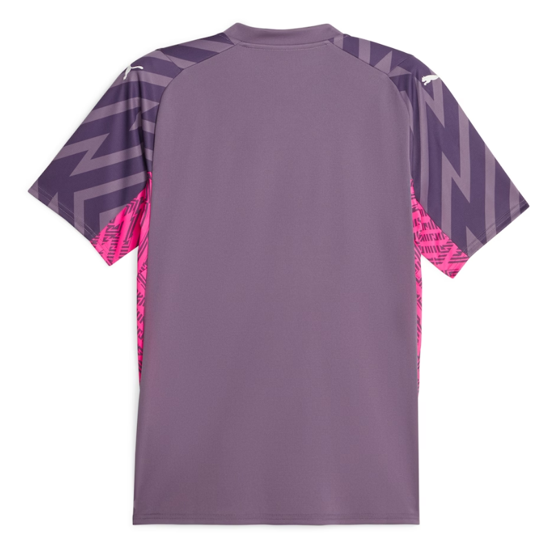 Manchester City Goalkeeper Shirt 2023-24 - Purple - Jersey Teams World
