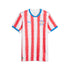 Official Paraguay National Team Puma 2026 Home Replica Jersey - White