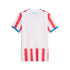 Official Paraguay National Team Puma 2026 Home Replica Jersey - White