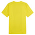 Borussia Dortmund Puma 2023/24 Pre-Match Jersey - Yellow