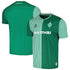 Werder Bremen 2023/24 Home  Jersey - Green
