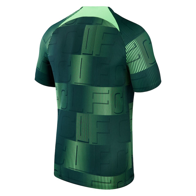 Liverpool Nike 2023/24 Academy Pro Pre-Match Top - Green