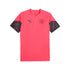 Manchester City Puma 2023/24 Training Jersey - Red - Jersey Teams World