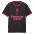 Luka Modrić AC Milan Puma 2026/27 Third Replica Jersey - Gray