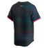 Nike Miami Marlins 2025 City Connect Limited Jersey Black