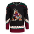 Arizona Coyotes Team Home Primegreen Custom Jersey - Black - Jersey Teams World